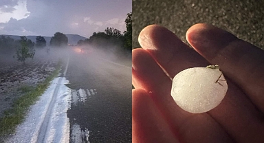 Büyükbelen Mahallesinde dolu zeytin ağaçlarına zarar verdi