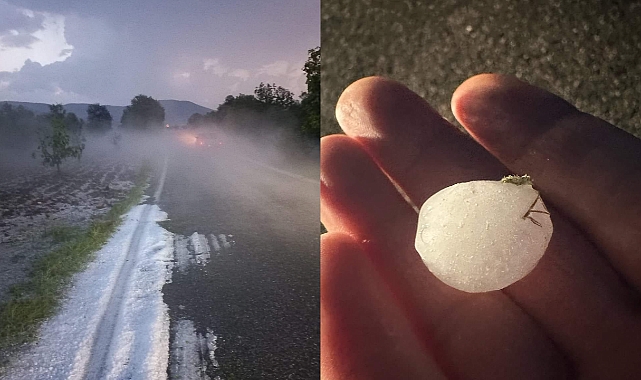 Büyükbelen Mahallesinde dolu zeytin ağaçlarına zarar verdi