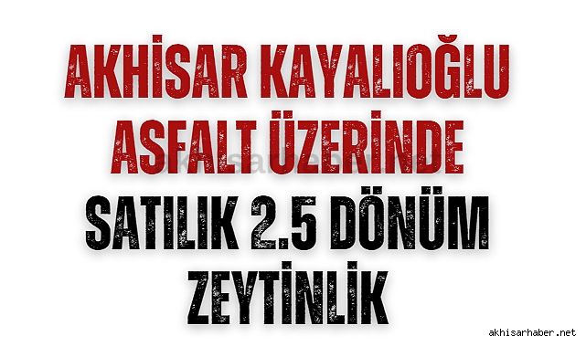 Akhisar Kayalıoğlu Asfalt Üzerinde Satılık 2.5 Dönüm Zeytinlik