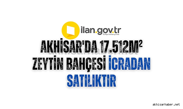 Akhisar'da 17.512m² zeytin bahçesi icradan satılıktır