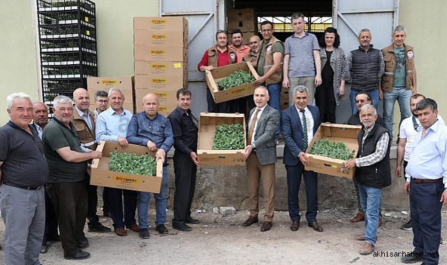 Akhisarlı çiftçilere yüzde 50 hibeli fide dağıtıldı