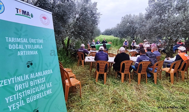 Akhisarlı çiftçiye yeşil gübreleme eğitimi verildi