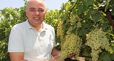 Bakırlıoğlu; Kuru Üzüm 2 Doların Altında Olmayacak