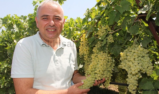 Bakırlıoğlu; Kuru Üzüm 2 Doların Altında Olmayacak