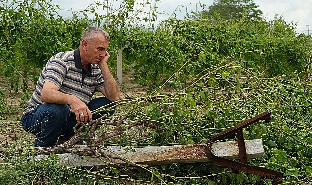 Hasar Büyük! Akhisar ve Saruhanlı çiftçisini su taşkınları vurdu