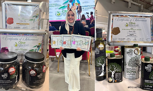 Türkiye'nin en iyi zeytini "Anne İşi uslu kurutma" oldu