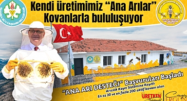 Üretilen Ana Arılar Teslime Hazır