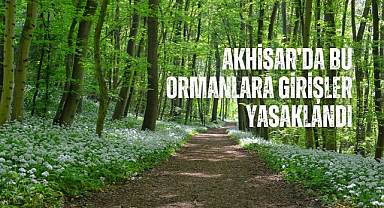 Akhisar’da bu ormanlara girişler yasaklandı