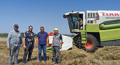 Akhisar'da buğday hasadı başladı