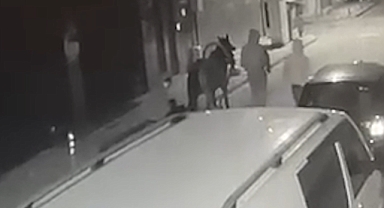 Akhisar'da işyerinden hırsızlık yapmak isteyen at arabalı şüpheliler başarılı olamadı