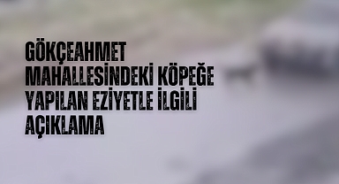 Gökçeahmet Mahallesindeki köpeğe yapılan eziyetle ilgili açıklama