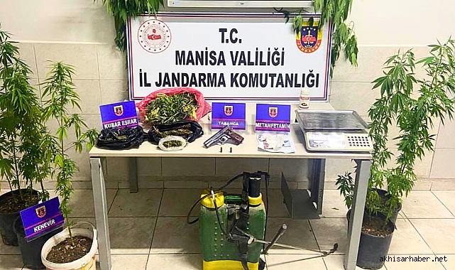 Akhisar'da kenevir ve esrar operasyonu