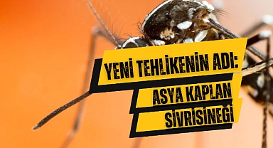 Akhisar’da sivrisinek kabusu… Uzmanından sivrisinek ısırmalarına karşı uyarı!