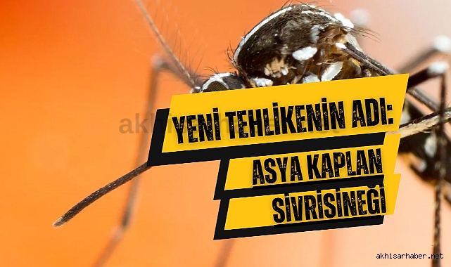 Akhisar’da sivrisinek kabusu… Uzmanından sivrisinek ısırmalarına karşı uyarı!