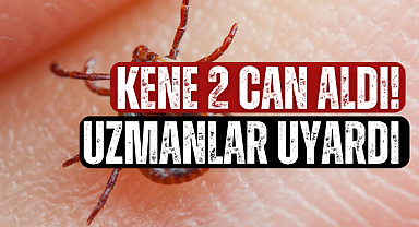 Kene 2 Can Aldı! Uzmanlar uyardı