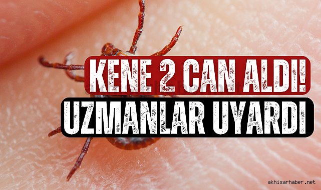 Kene 2 Can Aldı! Uzmanlar uyardı