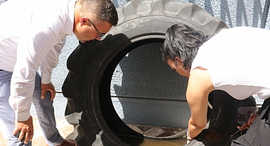Çevrenizde çok fazla sivrisinek varsa buna dikkat edin!