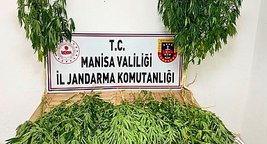 Uyuşturucu Operasyonları: Akhisar ve Salihli'de 11 Kişi Gözaltına Alındı