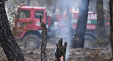 Akhisar Belediyesi, Çanakkale Orman Yangınına Destek Veriyor