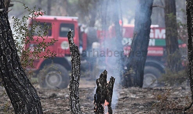 Akhisar Belediyesi, Çanakkale Orman Yangınına Destek Veriyor
