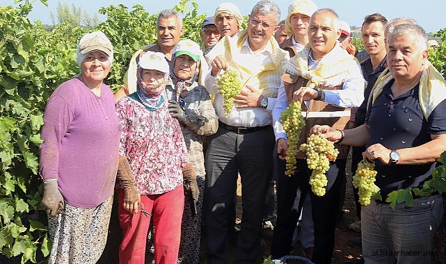 Akhisar'da Bağlarda Hasat Şenliği Havasında Devam Ediyor