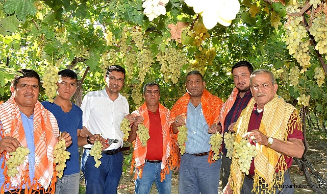 Geleneksel Bağ Bozumu ve Yörük Türkmen Şöleninde yok yok!