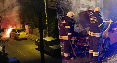 Park halindeki ticari taksi çayır çayır yandı
