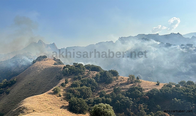 Salihli'de orman yangını başladı