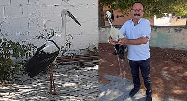 Yorgun 3 Leylek, Uçuşları Esnasında Akhisar'da Düştü! 2'si Yaralı, Birisi Hayatını Kaybetti