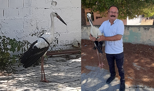 Yorgun 3 Leylek, Uçuşları Esnasında Akhisar'da Düştü! 2'si Yaralı, Birisi Hayatını Kaybetti