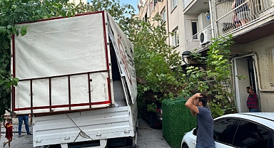 Akhisar'da Tarihi Çınar Devrildi