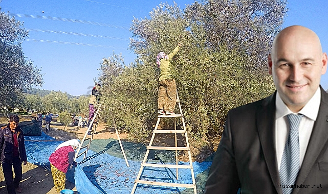 Akhisar Ticaret Borsası Başkanı Alhat; en düşük rekolte yılı olacak