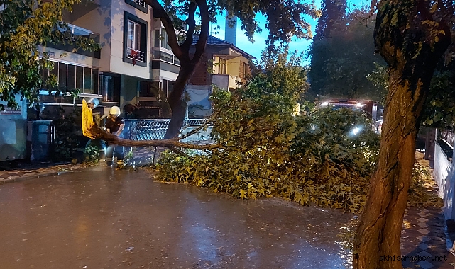 Aşırı yağışlar Ring yolunda ağaçları yıktı