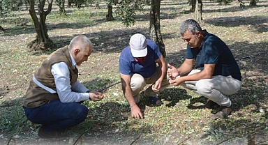 Doludan Zarar Gören Arazilerde Hasar Tespit Çalışmaları Yapılıyor