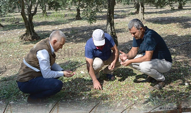 Doludan Zarar Gören Arazilerde Hasar Tespit Çalışmaları Yapılıyor
