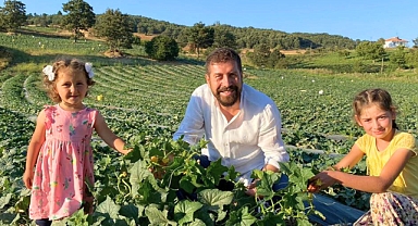 Sındırgı'da Kornişon Salatalığın Kalitesini Ve Üretimini Arttı