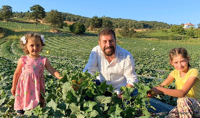 Sındırgı'da Kornişon Salatalığın Kalitesini Ve Üretimini Arttı