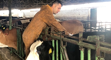 Sonbahar Dönemi Şap Aşılama Kampanyası devam ediyor