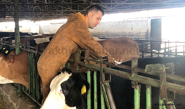 Sonbahar Dönemi Şap Aşılama Kampanyası devam ediyor