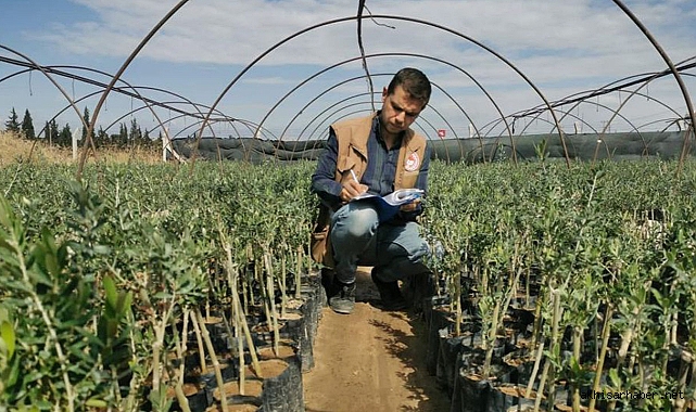 Akhisar İlçe Tarım Müdürlüğü Fidan Üretim ve Satış Yerlerini Denetliyor