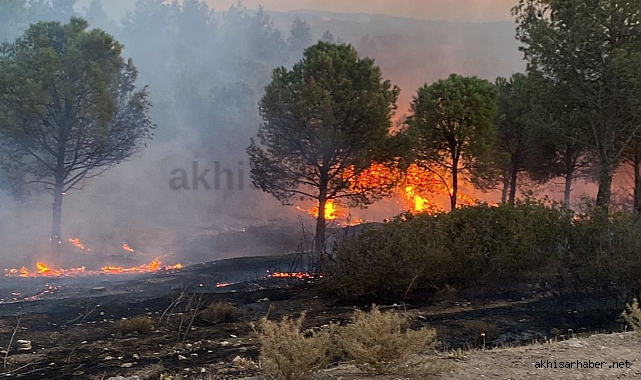 Akhisar'ın Kadıdağ Mahallesin Orman Yangını çıktı