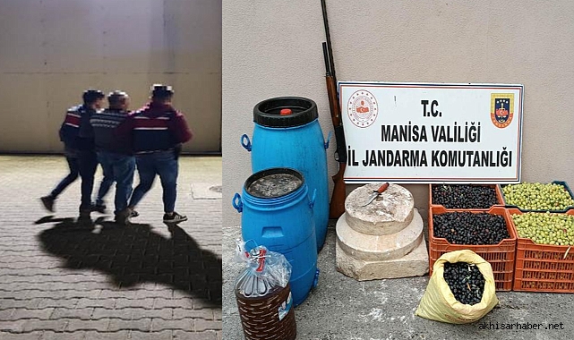 Akhisar'da zeytin hırsızları suçüstü yakalandı