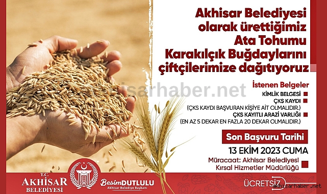 Ata Tohumu Karakılçık Buğdayı Çiftçilere Ücretsiz Verilecek