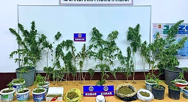 Jandarma'dan Akhisar dahil 17 ilçede uyuşturucu operasyonu