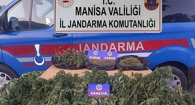 Kırkağaç'da Uyuşturucu Üretimine Büyük Darbe