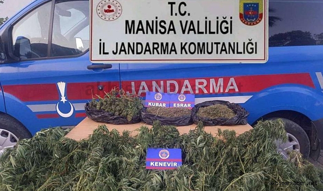 Kırkağaç'da Uyuşturucu Üretimine Büyük Darbe