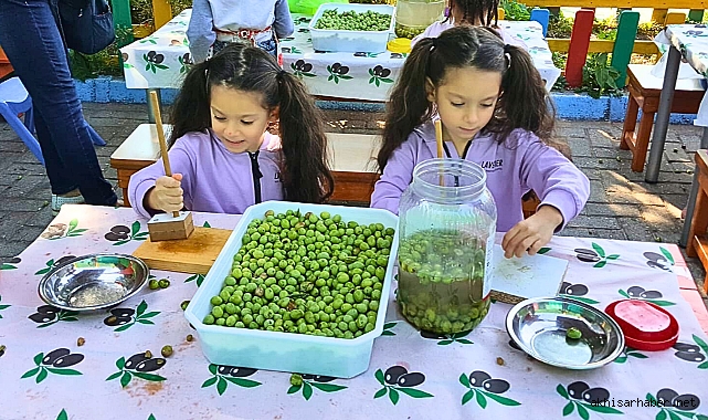 Zehra Muhittin Kavaklı Anaokulunda zeytin kırma etkinliği