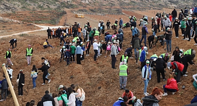 Akhisar'da Milli Ağaçlandırma Gününde 100.yıl Cumhuriyet Ormanı kuruldu