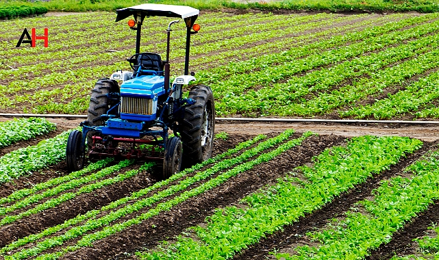 Akhisar İlçe Tarım Müdürlüğü'nden Çiftçilere Önemli ÇKS Duyurusu