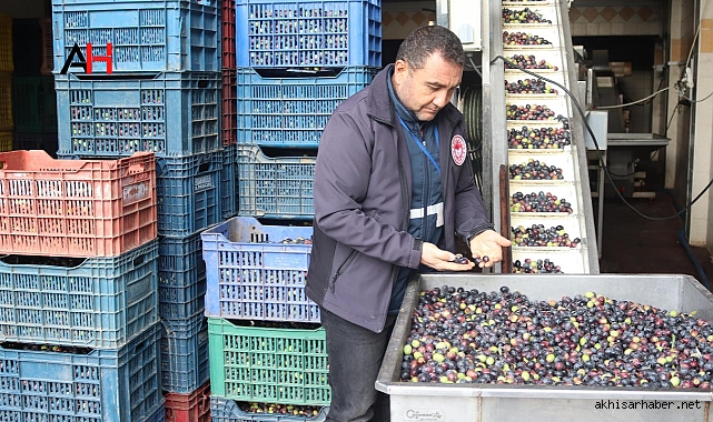 Akhisar İlçe Tarım Müdürlüğü Zeytin ve Zeytinyağı Üreten İşletmelerde denetime başladı
